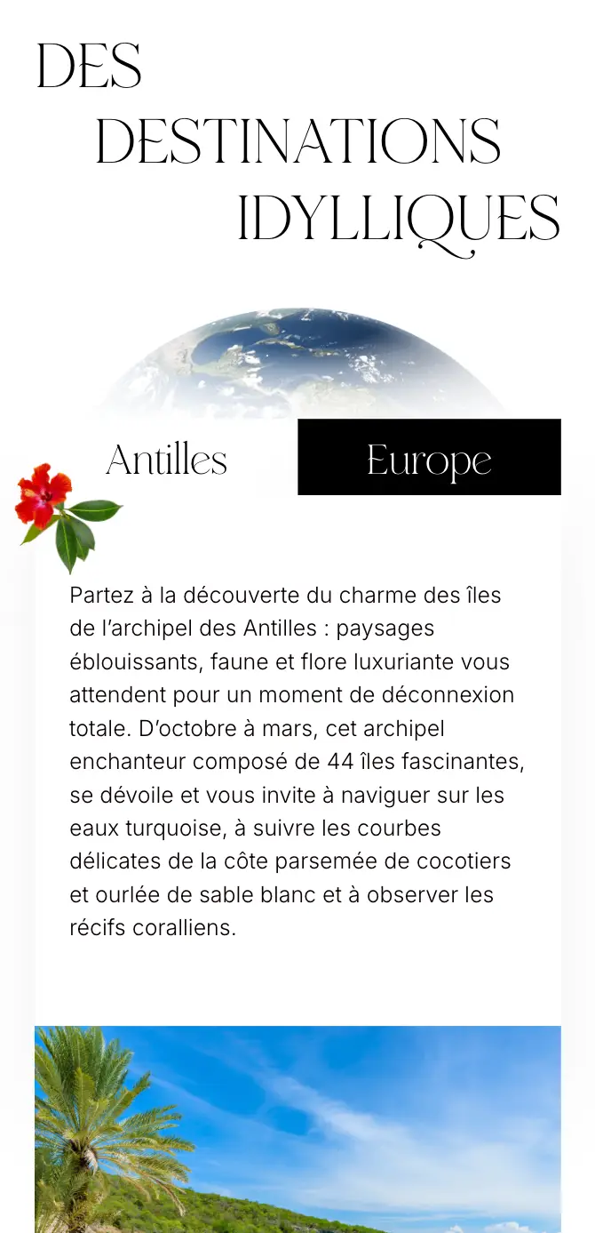 site-internet-indecis-3